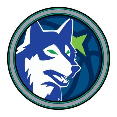 A love letter to basketball in Minnesota, especially the Minnesota Timberwolves. Best friends w/ @twinsalmanac. 🏀🐺