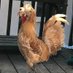 Patriotic Homesteader (@2_acre_living) Twitter profile photo Patriotic Homesteader (@2_acre_living) Twitter profile photo