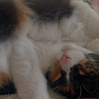 _wawawaaaa_'s profile picture. 