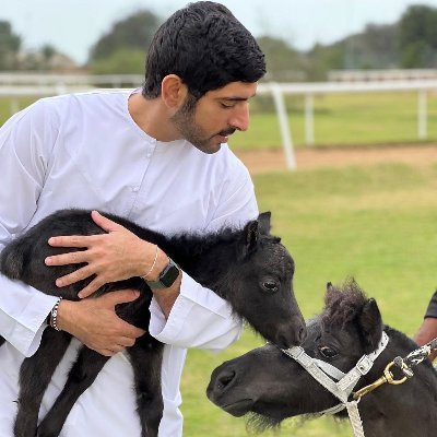 Sheikh Hamdan