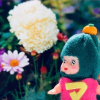 猫さんのプロフィール画像