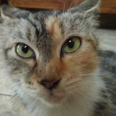 .さんのプロフィール画像