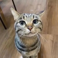 Bio Cock (@804bwc) 's Twitter Profile