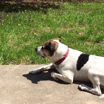 ODKA1236550's profile picture. Access various social networks SNAPCHAT