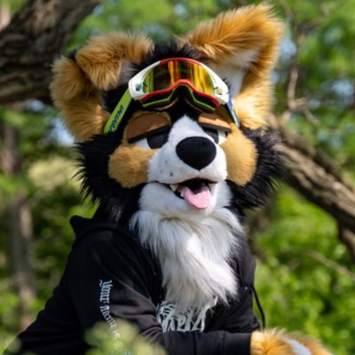 norfdog Profile Picture