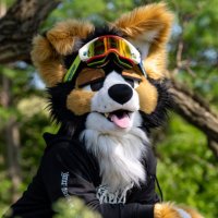 norf 🫠 (@norfdog) 's Twitter Profile Photo norf 🫠 (@norfdog) 's Twitter Profile Photo