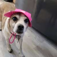 SONIC. cryptojunkie (@mathewr20747423) 's Twitter Profile