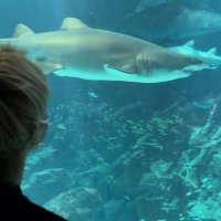 れん (@gfusrho7) 's Twitter Profile