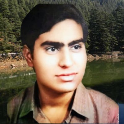 A Nationalist followed by Sh Narendra Modi the PM of India and my name,profile photo and handle name Hacked by some unknown hacker,having 113.4 k followers