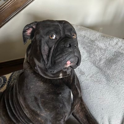 beam5800's profile picture. 