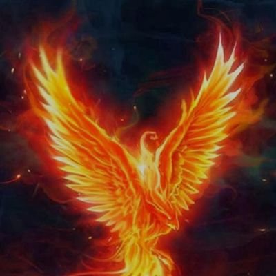 I'm a phoenix rising from the ashes.......