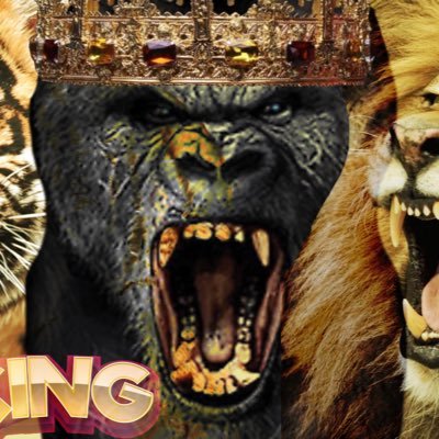 V_F_T_B's profile picture. Digital Diamonds Crypto King legitcryptonews@gmail.com