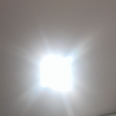 malejasann's profile picture. 