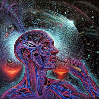 OComit's profile picture. 