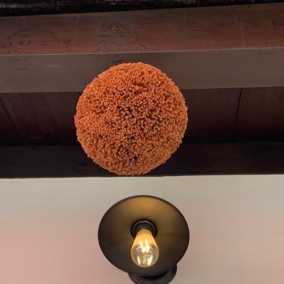 kanakonyanko's profile picture. 60歳過ぎバア。元会社員現起業家。右でも左でもない愛国者。