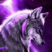 π³οΈβπ Amanda π³οΈββ§οΈ (@amandalick69) 's Twitter Profile