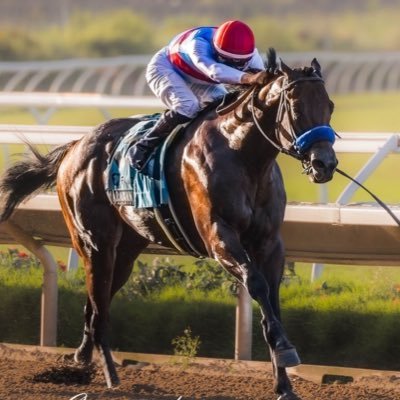 Justify3107 Profile Picture