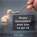 philippe penven (@penvenphilippe) Twitter profile photo philippe penven (@penvenphilippe) Twitter profile photo