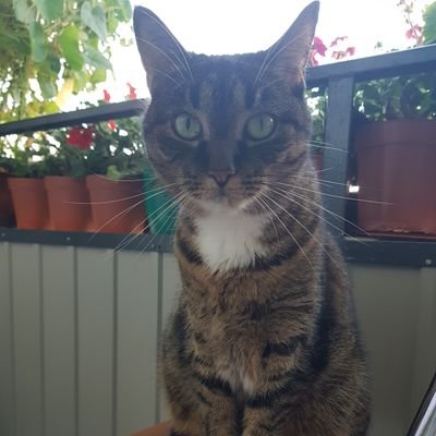 jbaran380's profile picture. Polka, Europejka