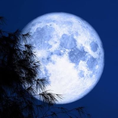 ecdl08's profile picture. 