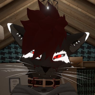 KinkyStars69's profile picture. |24||18+ No Minors||Endo Only||Many kinks ahead, you've been warned|