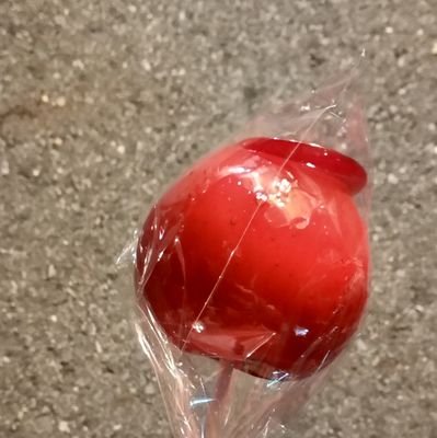 朱庵さんのプロフィール画像
