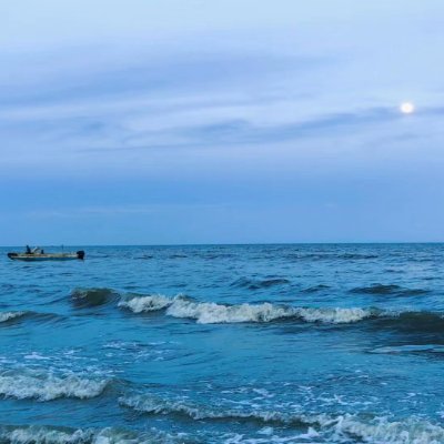 Lavender_ping's profile picture. Trust yourself