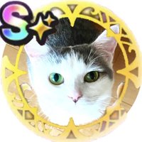 かにちゃん (@mimi_channel02) Twitter profile photo