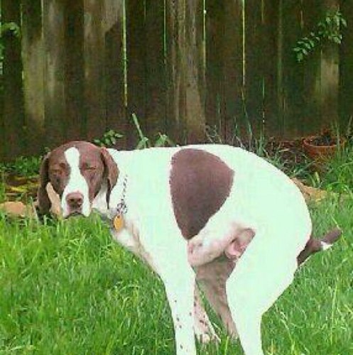 Russ_Bus1080's profile picture. 