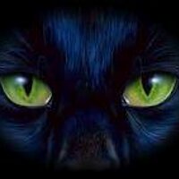 PantherView (@pantherview) 's Twitter Profile
