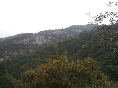 유천행복해♥♥블레싱유천
