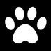 わんこ🐾 (@w_an_k_desu) Twitter profile photo わんこ🐾 (@w_an_k_desu) Twitter profile photo