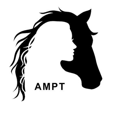 AMPTEspana Profile Picture