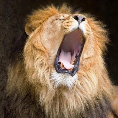 gaza999999's profile picture. 