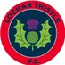 Lochar Thistle FC (@LocharThistleFC) Twitter profile photo