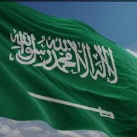 بن وائل (@_lap77) 's Twitter Profile