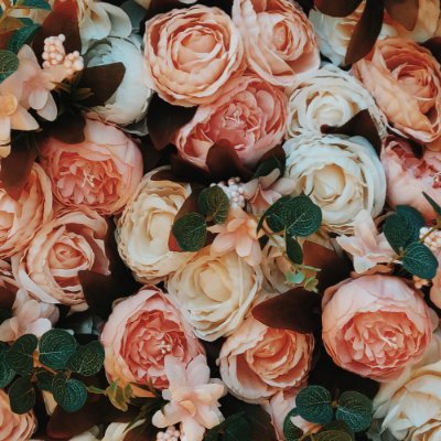 Ebeneze33312479's profile picture. 