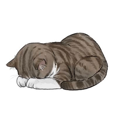 あやのさんのプロフィール画像