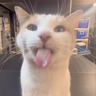baiさんのプロフィール画像