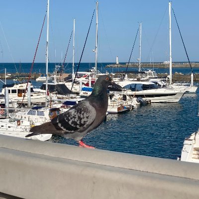 wasser56243089's profile picture. 