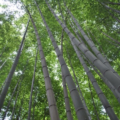 NuriaRodMuss's profile picture. Sé el cambio que quieres ver en el mundo (M.Gandhi). Consultor financiero y asesor fiscal.