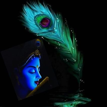 SujeetGopal's profile picture. 