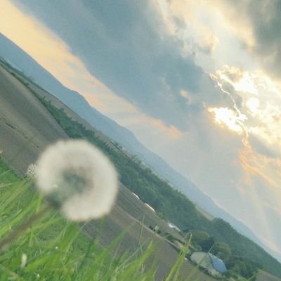 gurunpa129sho's profile picture. 北海道住み❄
平和にNumber_iを応援したい🫶
紫耀くん大好き❤ですが、じんくんも岸くんももちろん💙💜
アーティストとしても人としてもリスペクトしてるので、基本ただただ３人を褒めちぎるつぶやきが主になります。
無言フォロー、敬語なし🙆‍♀️
エロ、副業、鍵垢はごめんなさい。
無言フォロー、いいね失礼します