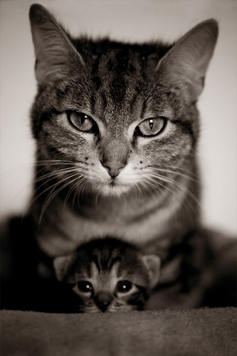 ManYxes's profile picture. 2nd/M/음악/영화/정신적,육체적 교감/털있는건 다좋아ᆢ설치류빼고ᆢ