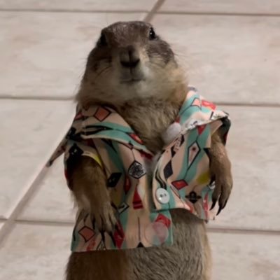 AlanSnore's profile picture. Always anti-fascist. A wandering Ronin.