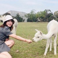 Stella Zhao (@stellazhaoyue) 's Twitter Profile