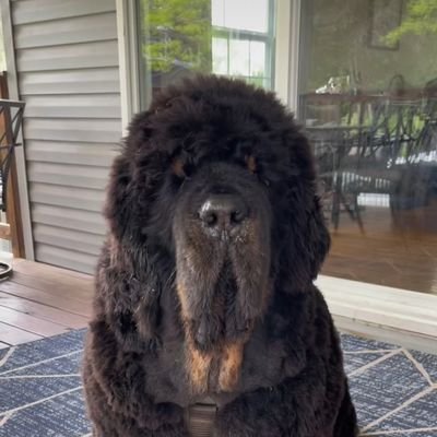 MahlumHenery's profile picture. 