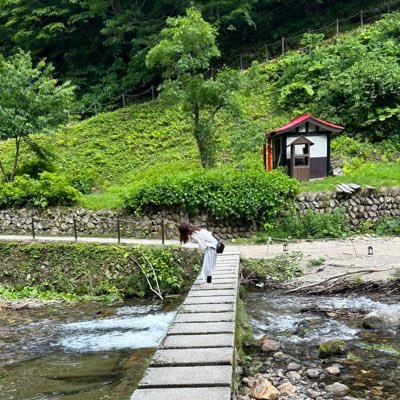 12_mayu_12's profile picture. 