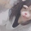 あゃぴ (@ayapi962092) 's Twitter Profile