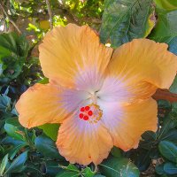 Bill Robertson (@billrob35) 's Twitter Profile